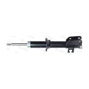 210746 VITAL SUSPENSIONS