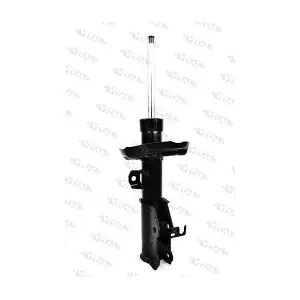 VITAL SUSPENSIONS 110870.2