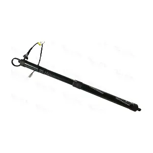 352055 VITAL SUSPENSIONS