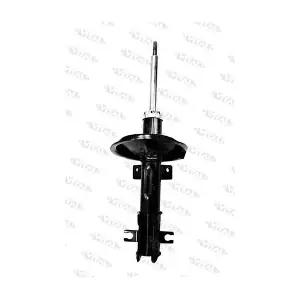 VITAL SUSPENSIONS 110281.0