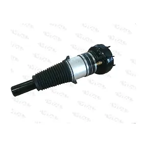 170025 VITAL SUSPENSIONS