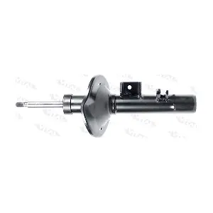 210576 VITAL SUSPENSIONS