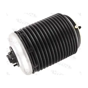 750422 VITAL SUSPENSIONS