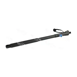 352038 VITAL SUSPENSIONS