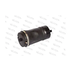 750150 VITAL SUSPENSIONS