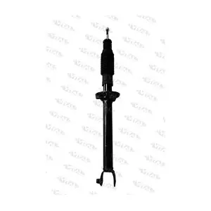 VITAL SUSPENSIONS 111054.0