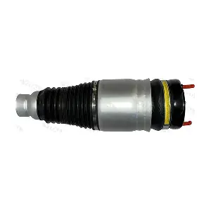 750691 VITAL SUSPENSIONS
