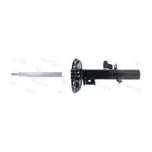 210454 VITAL SUSPENSIONS