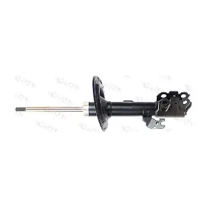 VITAL SUSPENSIONS 1120971