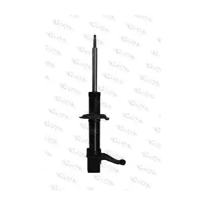25037 VITAL SUSPENSIONS