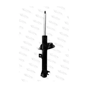 VITAL SUSPENSIONS 110324.1