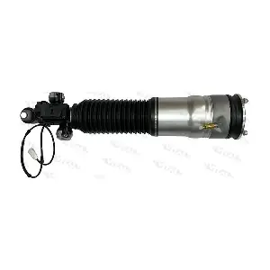 170036 VITAL SUSPENSIONS