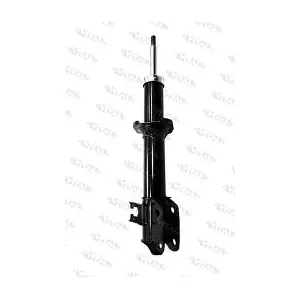 210574 VITAL SUSPENSIONS