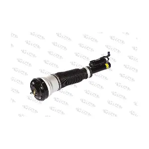 170008 VITAL SUSPENSIONS