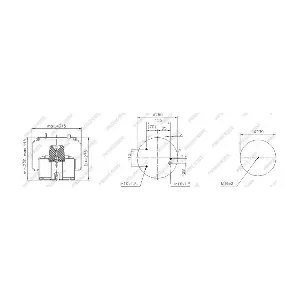 0526651 DAF