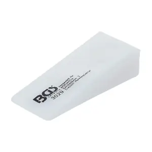 3029 BGS