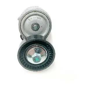 HB318 LEMA