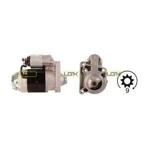 LGK 330462