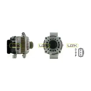 LGK 446880