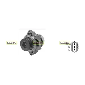 446898 LGK