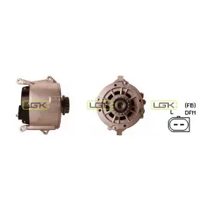442125 LGK