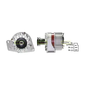 LGK 440389
