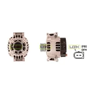 441838 LGK