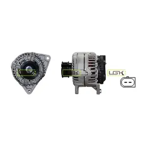 441901 LGK