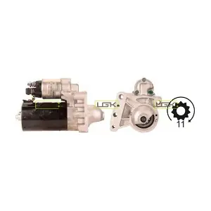 LGK 331309