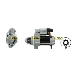 LGK 336596