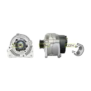 LGK 441709