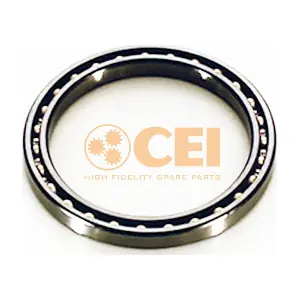 130311 CEI