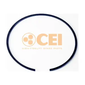 111585 CEI