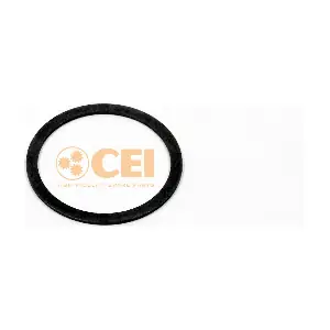 469334 CEI