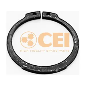 111302 CEI