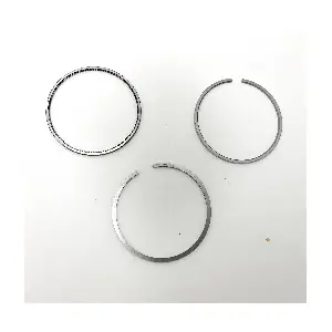 R60620 FEDERAL MOGUL