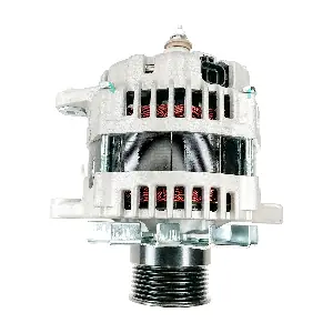 LR280707 CASCO
