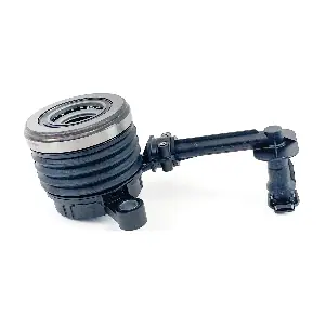 CS20038 RAICAM