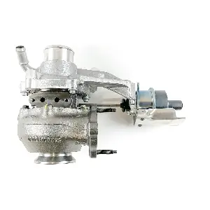 54389710013 BorgWarner