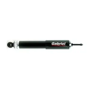 69548 Gabriel-MX