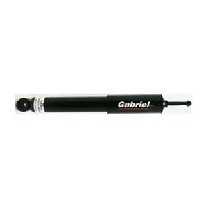 69309 Gabriel-MX