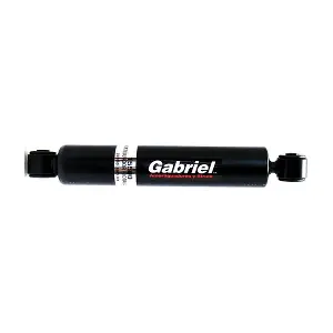 15500 Gabriel-MX