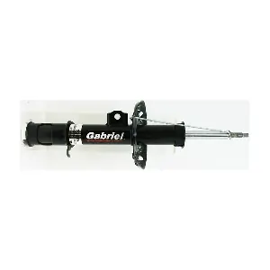 79067 Gabriel-MX