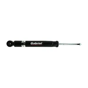 69091 Gabriel-MX