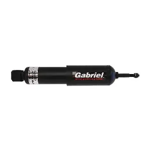 53017 Gabriel-MX