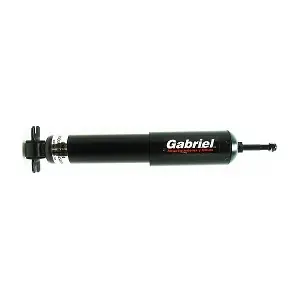 69513 Gabriel-MX