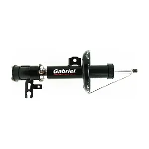 79266 Gabriel-MX