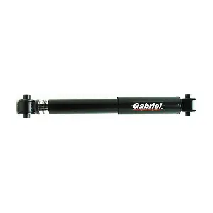 69123 Gabriel-MX