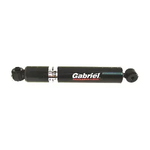 15501 Gabriel-MX