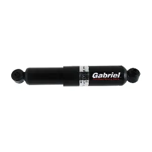 53031 Gabriel-MX